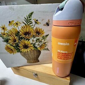 Owala Orange 🍊 Insulated Water Bottle with Built-in Straw